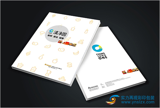 企業(yè)畫冊(cè) (6)